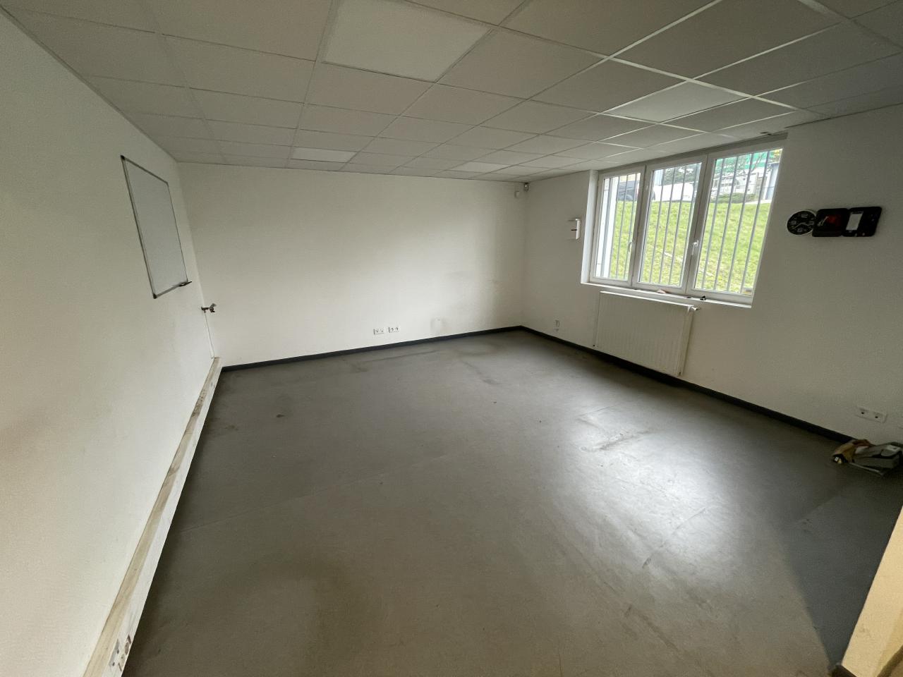 Local d'activité Ludres 1412m² Location local d'activité Ludres Meurthe-et-Moselle OLACT2420447 4